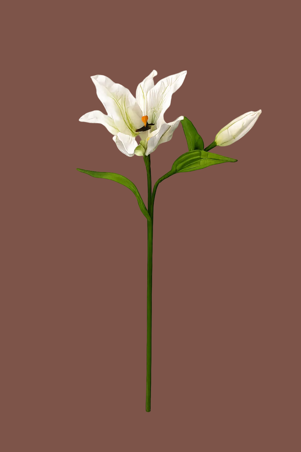 Lirio de papel