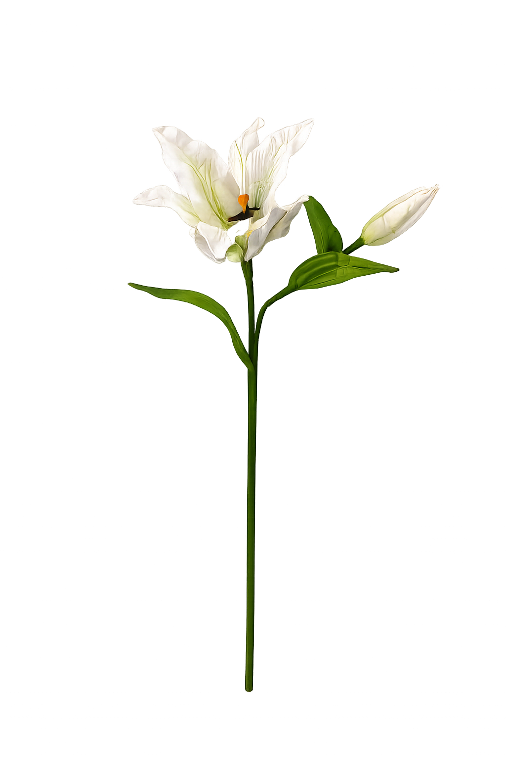 Lirio de papel