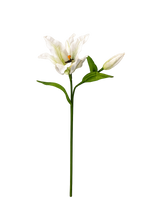 Lirio de papel