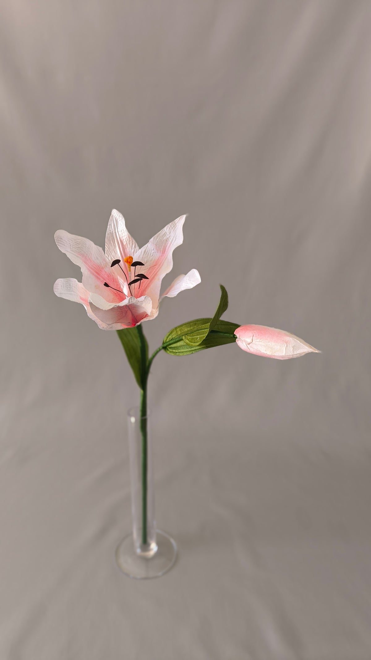 Lirio de papel