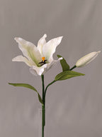 Lirio de papel